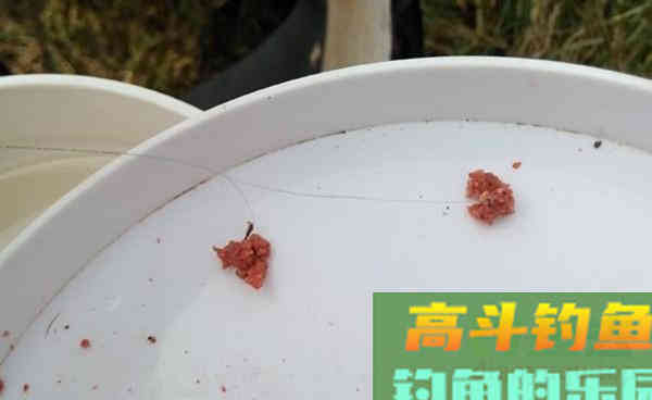 深秋手竿钓鲫鱼的这些变化,钓法得当更能钓到大板鲫 深秋手竿钓鲫鱼的这些变化,钓法得当更能钓到大板鲫