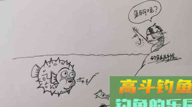 河豚到底是淡水鱼还是海鱼？怎样去垂钓河豚