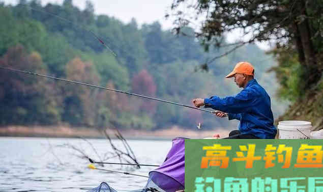想钓大鲫鱼,现在正是时候 想钓大鲫鱼,现在正是时候