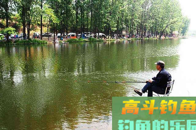 鲤鱼并不难找，认准这些地方，一准没跑