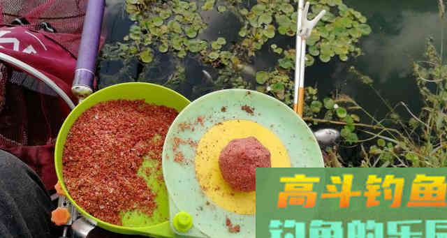 真正的钓鲫鱼高手从来不打窝,都是这样去开饵 真正的钓鲫鱼高手从来不打窝,都是这样去开饵
