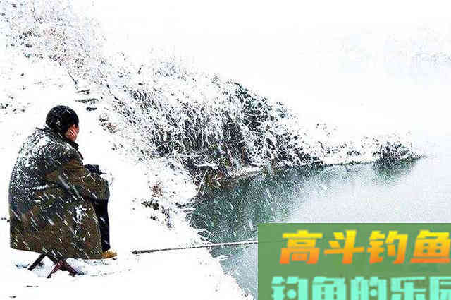 冬钓大板鲫,红虫多加点蓝鲫,鱼儿来得更快 冬钓大板鲫,红虫多加点蓝鲫,鱼儿来得更快