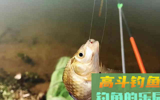 冬钓鲫鱼,选对装备,真的很重要 冬钓鲫鱼,选对装备,真的很重要