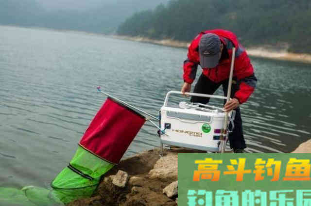 冬天还可连竿鲤鱼?二十年老钓手:多亏这3个套路 冬天还可连竿鲤鱼?二十年老钓手:多亏这3个套路