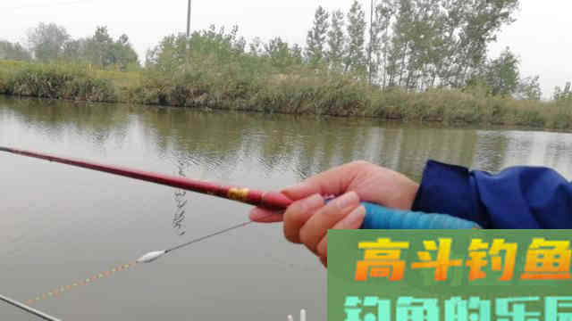 野钓鲫鱼,由浅水管换到深水,调漂你得这么做! 野钓鲫鱼,由浅水管换到深水,调漂你得这么做!