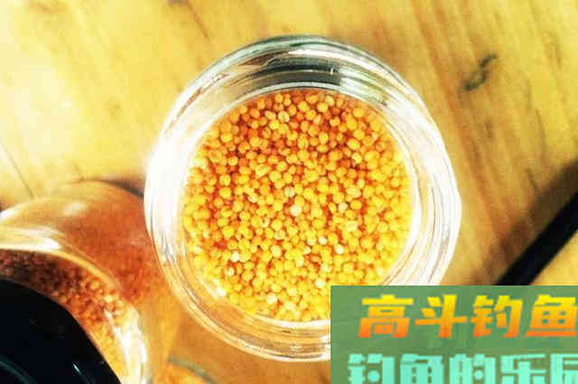 冬钓鲫鱼心得分享,掌握这些可提升渔获量 冬钓鲫鱼心得分享,掌握这些可提升渔获量