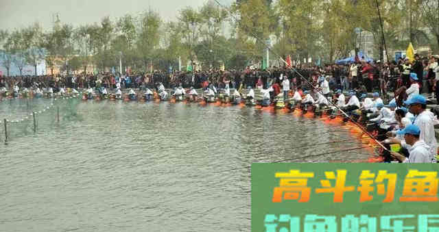 鲤鱼的力量！一场大水称霸澳洲河道，稻田