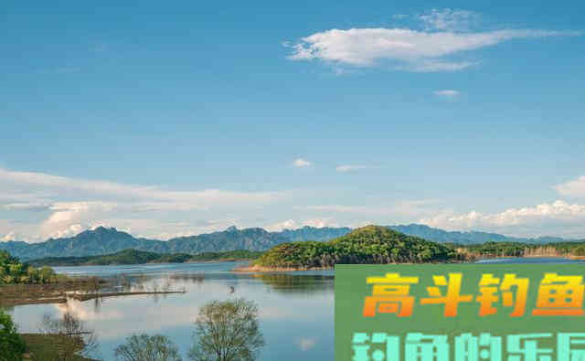 冬季大鲫鱼好钓?谣言!不注意3点,大板鲫和你无缘 冬季大鲫鱼好钓?谣言!不注意3点,大板鲫和你无缘