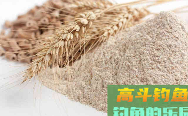 钓鲢鳙的7种不可少辅料,直接影响垂钓的效果 钓鲢鳙的7种不可少辅料,直接影响垂钓的效果