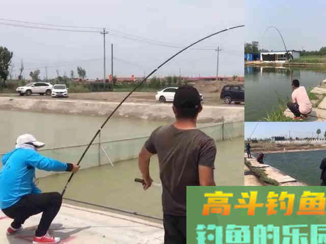 作钓时碰到青鱼打桩，导致断杆切线，有效应对技巧