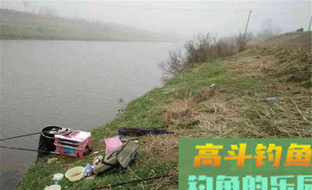 野钓鲤鱼,天气钓位都跟光线有关 野钓鲤鱼,天气钓位都跟光线有关