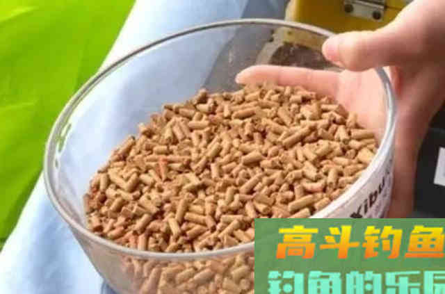 原来这2种钓法才是对付鲤鱼的法宝