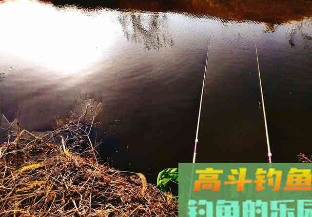 钓鲫鱼只能用短竿？野钓需灵活，打破常规方能收获惊喜