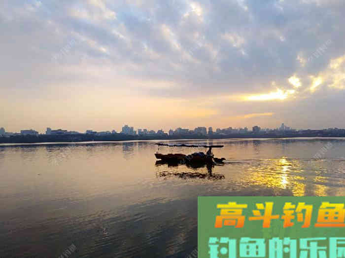 初冬钓大鲫体会，从四个方面解析，教你钓大鲫鱼