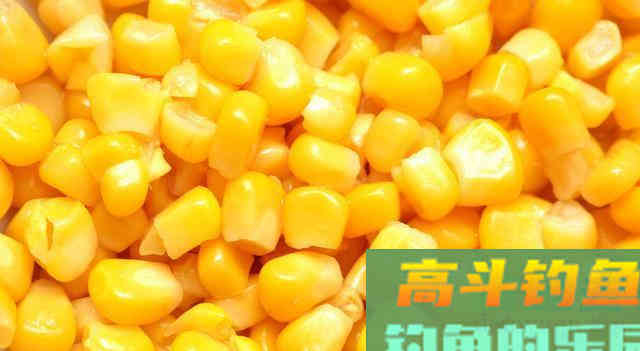钓友问：初春温度升高，不打窝钓鲫鱼可以吗