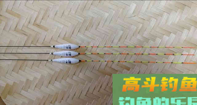 秋钓大鲫鱼，这三招偷偷告诉你，渔获轻松翻倍