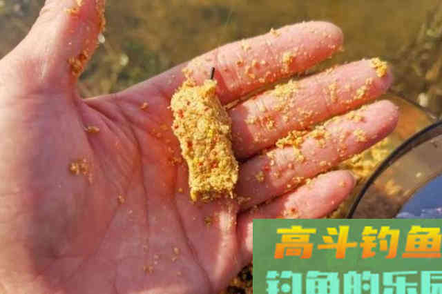 立春前后，钓板鲫反按我说的做，天气再冷照样上鱼不止
