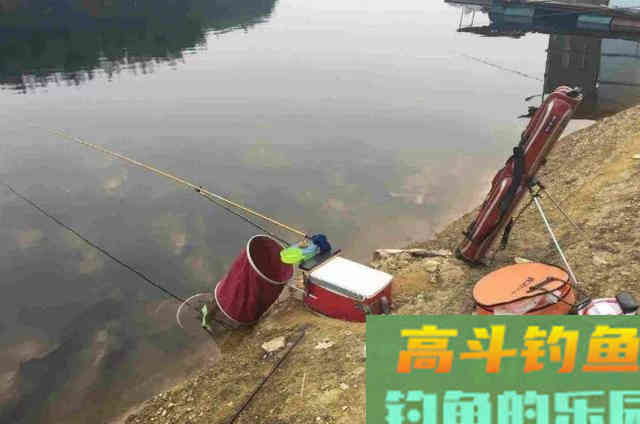 自从我用这套鲢鳙钓法,鲫鲤鱼再大也不想钓 自从我用这套鲢鳙钓法,鲫鲤鱼再大也不想钓