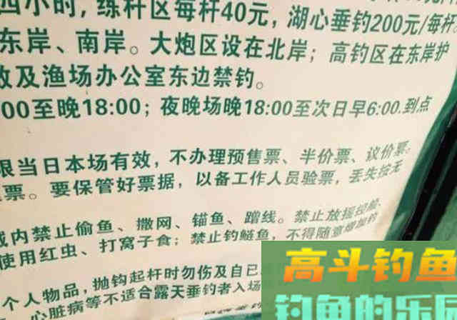 鲢鳙并非稀有鱼种，为何一些水域不让钓？老板说出真相