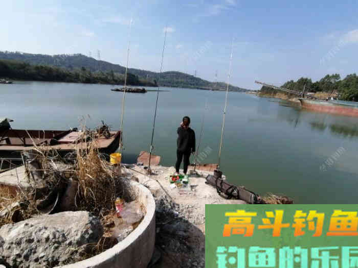 大水面如何垂钓鲤?从抛竿、爆炸钩等方面解析 大水面如何垂钓鲤?从抛竿、爆炸钩等方面解析