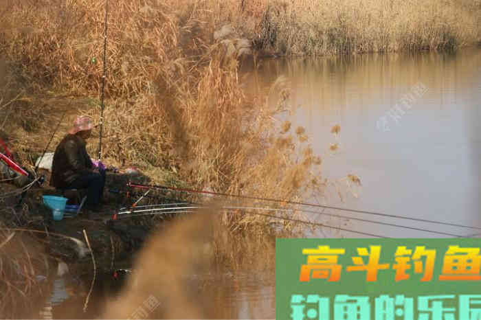 初春双竿钓鲫鱼的一点体会