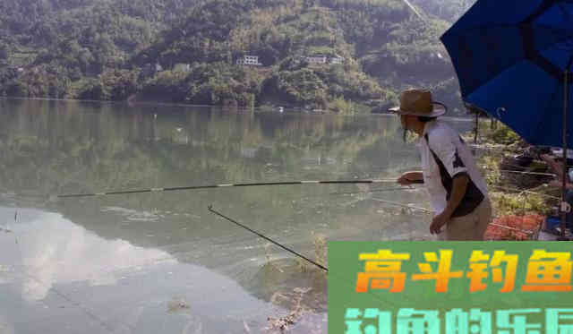 这条鲤鱼太丑了，你还经常钓到