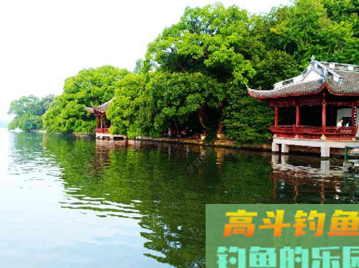 钓鲢鳙鱼3个因素与找鱼层方法,以及气温等技巧 钓鲢鳙鱼3个因素与找鱼层方法,以及气温等技巧