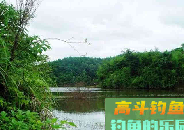 手竿如何垂钓大头鱼,4个方面重点就是饵要轻雾化好 手竿如何垂钓大头鱼,4个方面重点就是饵要轻雾化好