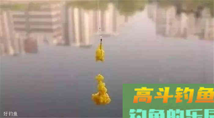 老钓鱼人分享秋季钓鲫鱼的技巧