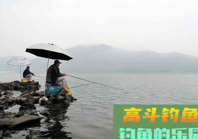你与鲤鱼之间的距离，只差一个钓位，选错是喂鱼选对才是钓鱼