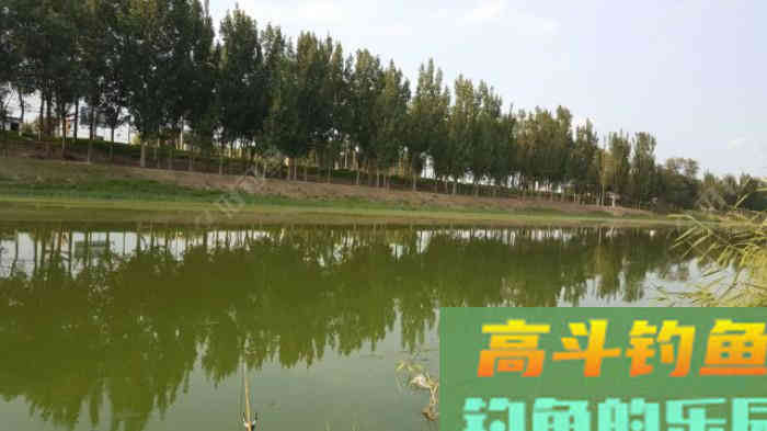 野钓策(19)鲫鱼习性与施钓的关联性 野钓策(19)鲫鱼习性与施钓的关联性