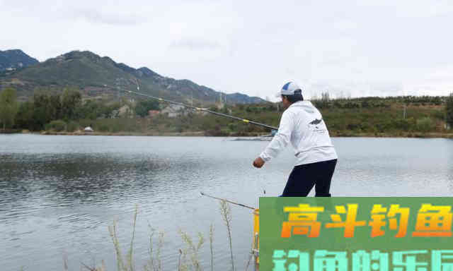 北方春季钓鲫鱼技巧汇总，时间天气鱼情等