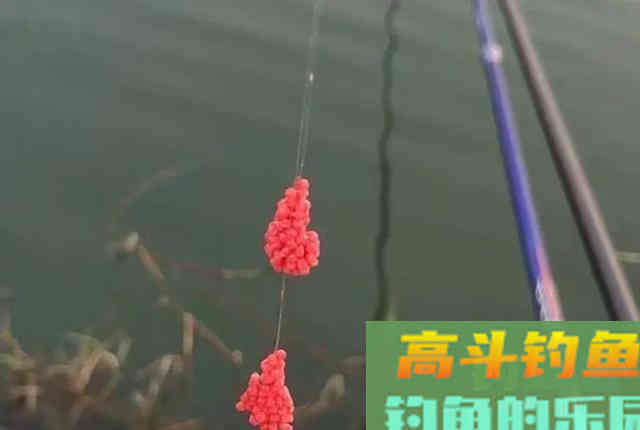同样是空钩蘸小米，为啥别人连杆大板鲫，你不行