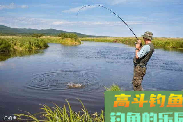 秋季水库垂钓鲤鱼3个技巧 秋季水库垂钓鲤鱼3个技巧