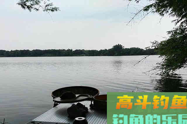 看看这些垂钓罗非心得，对你钓鱼有帮助