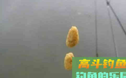 钓友问：初春温度升高，不打窝钓鲫鱼可以吗
