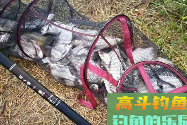 怪不得鳊鱼比鲫鱼好钓，换用这3招就对了