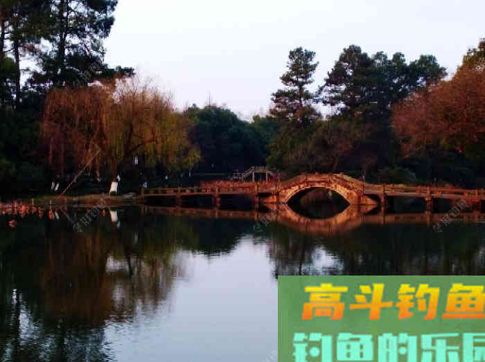 深冬钓鲫杂谈，就得小钩细线小漂、放大鱼口漂相