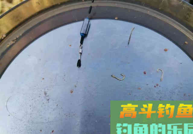 钓鲤鱼如何调漂？是一钩到底一钩悬浮好