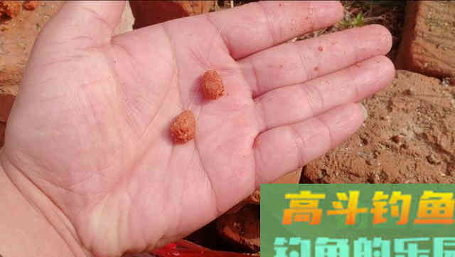 掌握这些作钓技巧，想钓大鲫鱼也没想象的那么难！