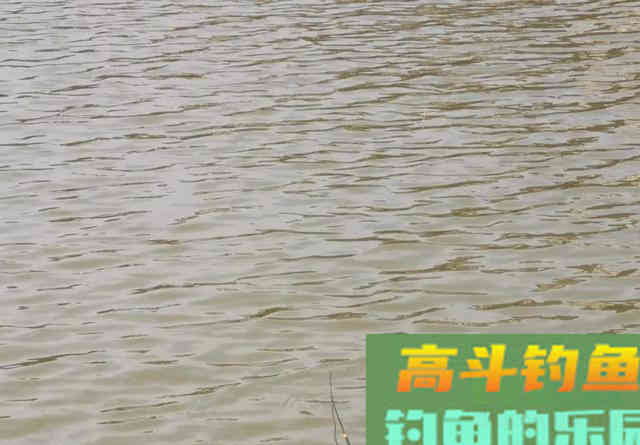 开春后如何钓到大鲫鱼？换个角度想对策就行