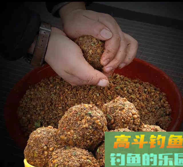 如何钓草鱼?应因地制宜,分析鱼情特点正确选择钓底 如何钓草鱼?应因地制宜,分析鱼情特点正确选择钓底