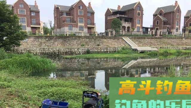一进入夏季，鲫鱼就越钓越小，大板鲫呢