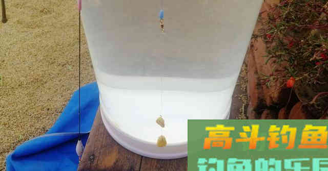 作钓草鱼，学会这样去调钓，钓底钓浮一招搞定