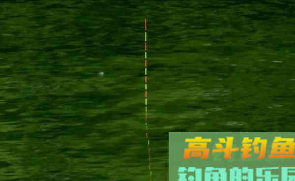 进入深秋后，鲢鳙还能钓不？要怎么钓