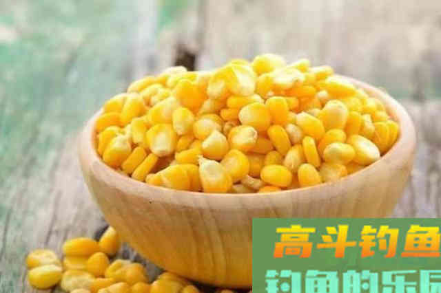 草鱼越大越不好钓，哪料用了这3招，竿子立马大弯弓