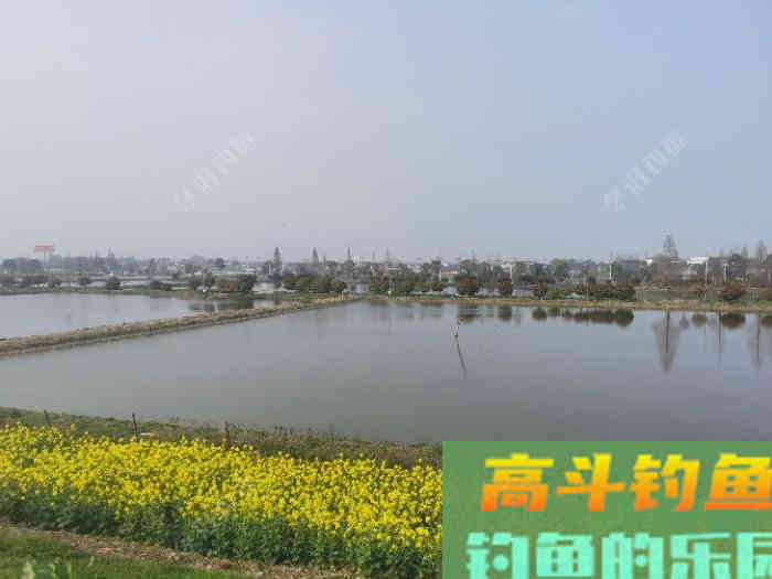 初春双竿钓鲫鱼的一点体会