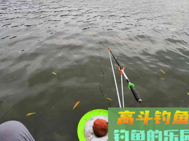 野钓鲫鱼如何选择浮漂的吃铅量？用3点解决问题