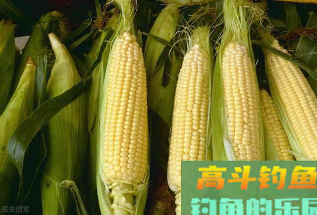 钓翘嘴其实很简单，只是你钓法不对而已