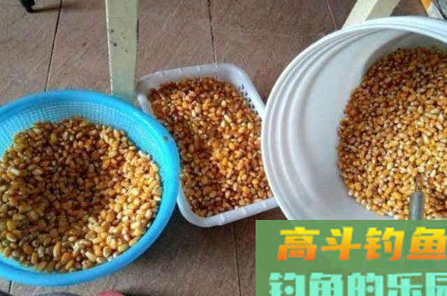 草鱼就难钓了？老司机无奈之下只好透露这绝招